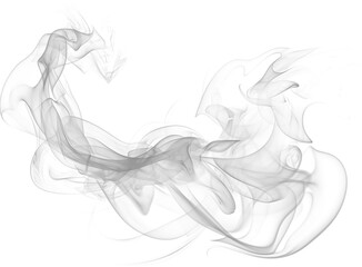 Vector smoke illustration on white background with swirling curves and artistic patterns forming soft flowing shapes