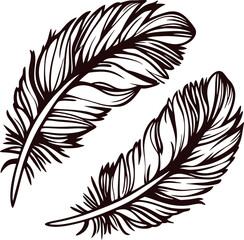 Obraz premium Hand drawn illustration of two curved bird feathers with intricate line details isolated on white background