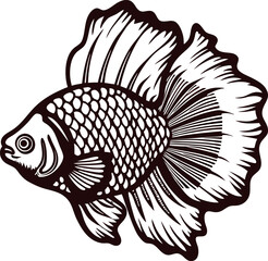 Fototapeta premium Detailed vintage drawing of a betta fish with large flowing fins isolated on white background