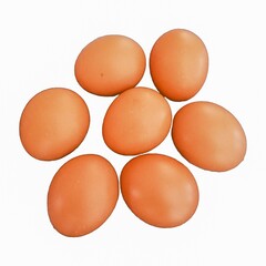 Many isolated chicken eggs