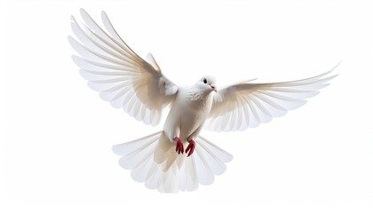 Fototapeta premium Elegant white dove soaring with outstretched wings against a transparent backdrop