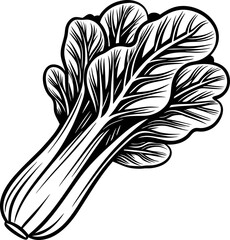 Hand drawn bok choy illustration isolated on white background vintage vegetable sketch in black and white line art
