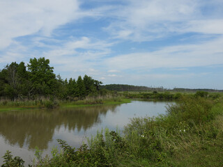 The natural beauty of the wetlands within the Blackwater National Wildlife Refuge, Dorchester County, Cambridge, Maryland.