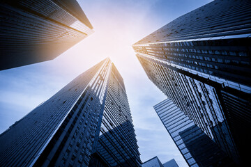 Naklejka premium Modern Skyscrapers in a Cityscape