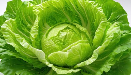 Obraz premium close up of a cabbage head of light green color. The dense leaves form a spherical shape, emphasizing the freshness and naturalness of this vegetable.