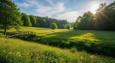 Naklejka premium Serene Summer Meadow Landscape: Wooden Bridge, Sunbeams, and Vibrant Flowers