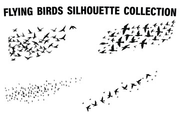 Flying Birds Silhouette Vector Bundle
