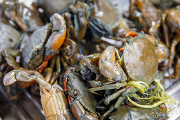Asian fish market, live crabs tied and stacked for sale on seafood stall