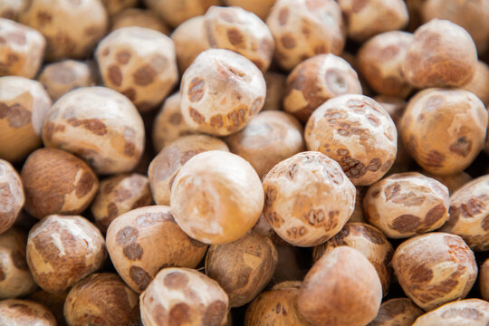 lot Dried Betel Nut, Areca Nut, Areca catechu Background