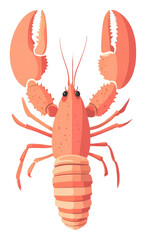 PNG Lobster lobster illustration seafood.