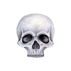Part of a gray human skull, front view. Watercolor illustration.