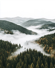 Misty Valley Landscape: Green Hills Enveloped in Fog