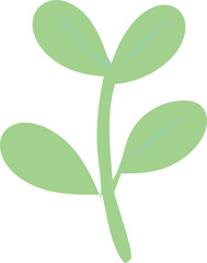 A simple stylized illustration of a young green plant sprout with three leaves and a central stem against a white background