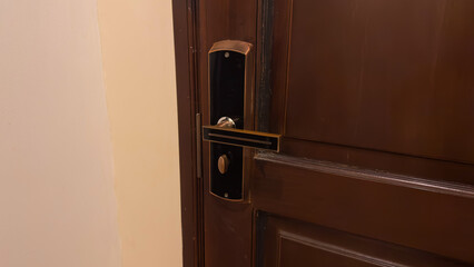 A modern, sleek door handle with a dark and bronze finish is installed on a dark wooden door,...