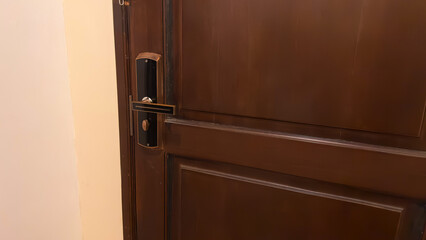 A modern, sleek door handle with a dark and bronze finish is installed on a dark wooden door,...