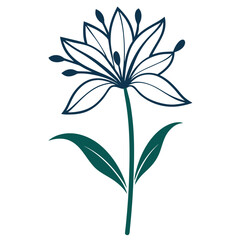  agapanthus-line-art-on-white-background-