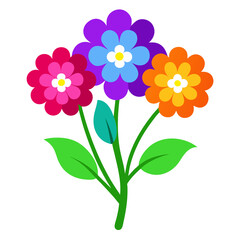 alyssum-colorful-on-white-background