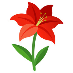 amaryllis-colorful-on-white-background