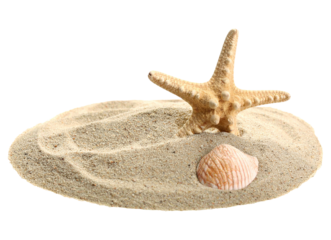 Summer theme object isolated on transparent background