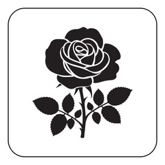 Single rose illustration simple and romantic floral artwork