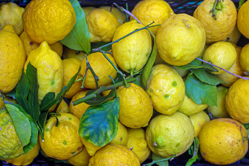 Large pile of yellow citrus fruits lemons from Sicily in Italy