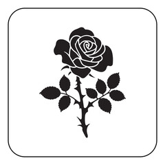 Single rose illustration simple and romantic floral artwork