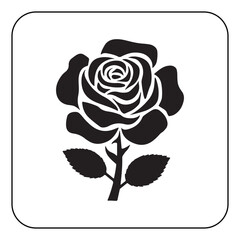 Single rose illustration simple and romantic floral artwork
