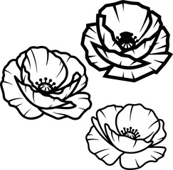 Elegant poppy flower vector art, soft petal flow and  minimalist style perfect for lifestyle branding or cosmetics.

