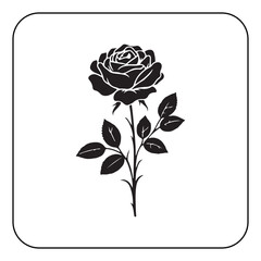 Single rose illustration simple and romantic floral artwork