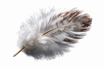 Delicate feather resting on a plain surface with soft texture