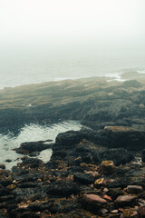 Rocky coastline of Acadia National Park