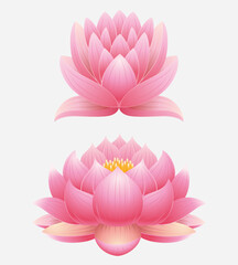 Lotus flower set. Vector illustration. Isolated on white background.