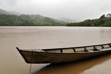 Obraz premium Canoa en la selva