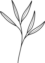 Leaf Line Illustration