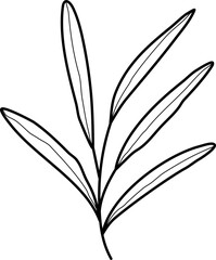Leaf Line Illustration