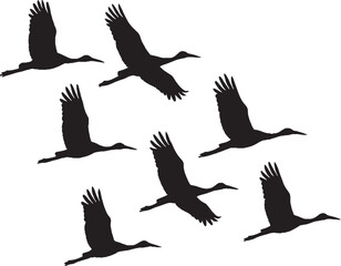 Obraz premium A set of flying bird silhouettes includes various wildlife like eagles, hawks, and doves, perfect for vector illustration in nature-themed art