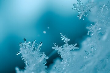 Macro shot of delicate snowflakes on a cool blue background