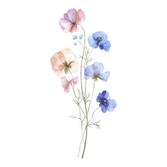 Fototapeta premium PNG Flowers art illustration watercolor.
