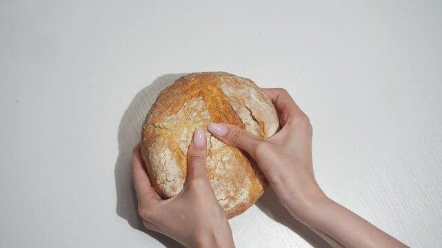 close-up of woman's hands breaking in half freshly baked piece of white wheat bread with crisp crust on abstract white background. top view