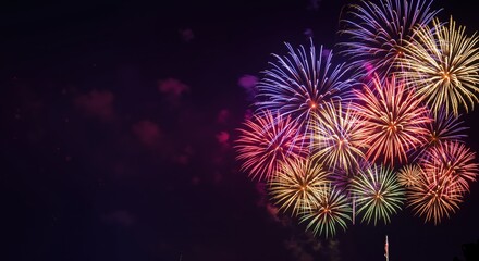 Colorful fireworks exploding in night sky during celebration  