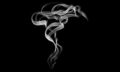 Curved Filament Lines Illustration – Minimalist Design Element

