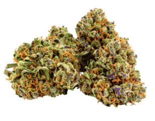 Marijuana buds purple haze strain isolated on transparent background
