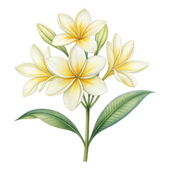 Fototapeta premium Delicate Yellow Floral Arrangement with Green Leaves and Soft Petals in Vibrant Detail