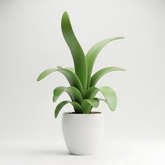 Elegant Green Plant in White Pot Minimalist Houseplant Design
