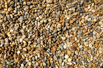 Assortment of colorful river pebbles in sunlight top view
