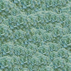 Succulent plants motif random pattern