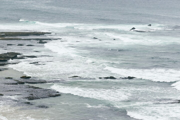 rolling ocean waves on the coastal shores of portugal