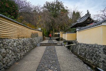 신앙, 매혹, 길거리, 여름, 문화, 닛폰, 네이처, 여행, 경관, 나무, sky, 공원, 경로, 고대, asia, 건물, 건축