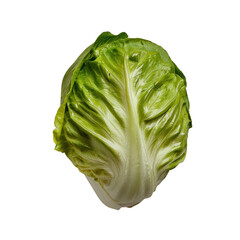 Fototapeta premium Fresh lettuce head with vibrant green leaves, showcasing its crisp texture and healthy appearance. Perfect for salads and garnishes