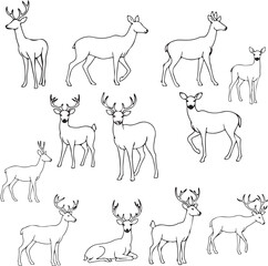 Minimalist Deer Line Art: Elegant Vector Illustrations for Design Projects